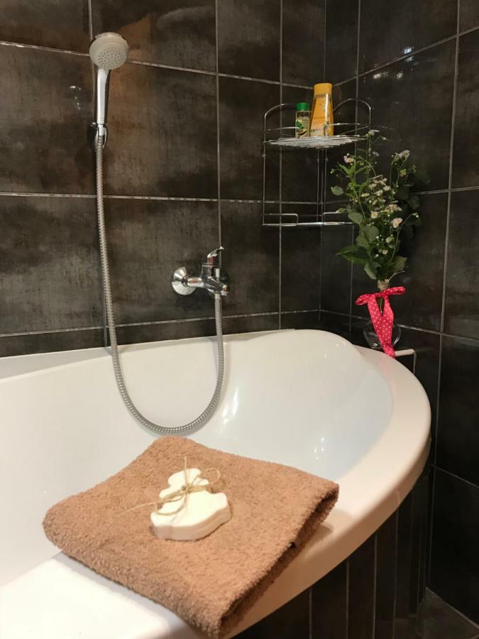 Apartment Rustical In Sumava National Park Nova Pec